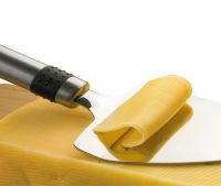 Нож для сыра (улучшенный) Brabantia 211225 Profile Stainless Steel 21 см