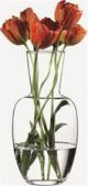 Прозора скляна ваза для квітів 28см Selebrey  PASABAHCE 43597