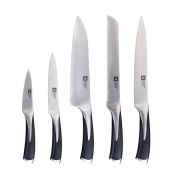 Набір ножів Amefa Richadson R14000K368KA4 Kyu з підставкою 5 пр