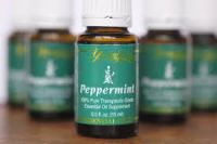 М'ятна ефірна олія Young Living Peppermint 361408 натуральна концентрована 15мл