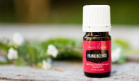 Натуральное эфирное масло ладана Young Living Frankincense 354808 для восстановления иммунитета и улучшения состояния кожи 15мл