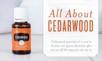 Натуральное эфирное масло кедра для здоровья кожи и волос Young Living Cedarwood 350908 15мл