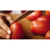 Нож овощной Victorinox 5.0401 Paring 8 см красный
