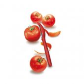 Нож для чистки овощей Victorinox 7.6075.1 универсальный 13.4 см красный