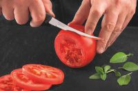 Нож для томатов TRAMONTINA 23428/165 Plenus 127 мм grey