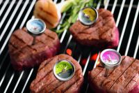 Набор термометров для мяса Rosle R25067 4 шт