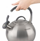 Чайник со свистком RONDELL RDS-495 Ball нержавеющая сталь 3 л