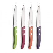 Набор ножей для чистки Amefa Richardson F497511NT01KK4 Forest 4 пр