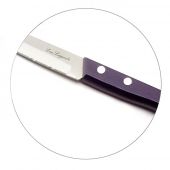Набор ножей для чистки Amefa Richardson F497511NT01KK4 Forest 4 пр