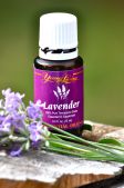 Эфирное масло Young Living 559008 Lavender+ натуральное терапевтического качества 5 мл