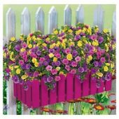 EMSA EM506418 Балконный горшок для цветов LANDHAUS 50см (Розовый)