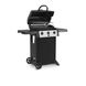 Гриль Broil King BK 310 (932353) 932353 фото 3