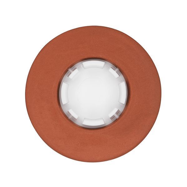 Зволожувач для цукру OXO FOOD STORAGE теракотовий (11235700) 11235700 фото