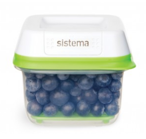 Контейнер для хранения овощей/фруктов/ягод SISTEMA FRESHWORKS 0,591 л(53105) 53105 фото