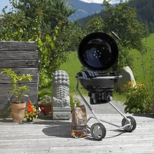 Вугільний гриль Roesle No.1 AIR F50 R25001R-1 фото